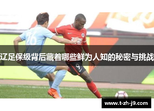 辽足保级背后藏着哪些鲜为人知的秘密与挑战